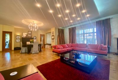 Vila de lux lângă Curtea Domnească – investiție premium Târgoviște, teren 1.700 - 13