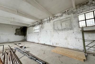 Hală industrială, 150 mp, în curs de renovare, zona Calea Baciului - 4