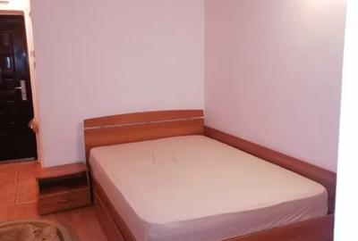 Apartament cu 1 camera in Tudor Vladimirescu - 1