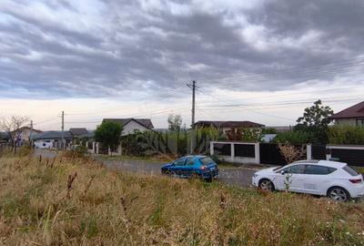 TEREN PAULESTI//10.000 MP - 7