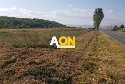 Teren intravilan Teleac cu toate utilitatile - 2