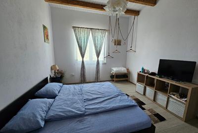 Casa vacanta delta dunari vânzare - 7