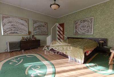 Casa Individuala impresionanta, curte bine amenajata, zona Semicentral - 10