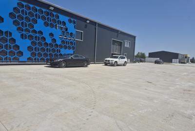 Hale de Inchiriat 600 mp Chitila - 1