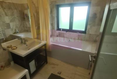 Vila de vanzare cu 6 camere in Cornu (teren 6.600 mp) - 25