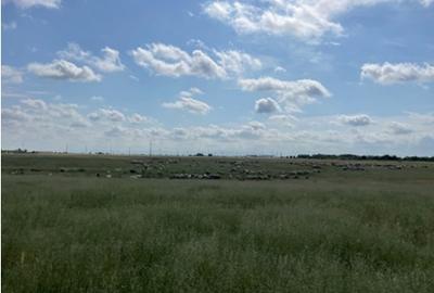 Teren intravilan - 8