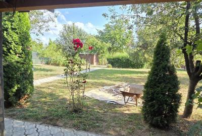 Casă și teren de vânzare – Zona Careiului - 17