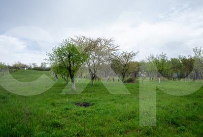 Proprietate unică, în zonă verde și liniștita - 9