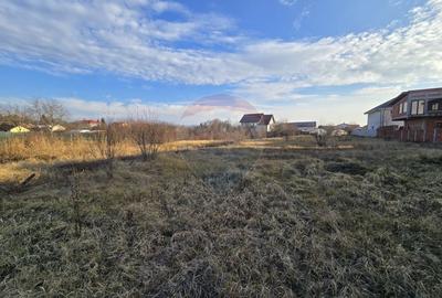 Central Corbeanca, teren generos, parcelat, dubla deschidere - 4