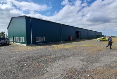 Hala si deposit  in Filipesti ,Braila - 1