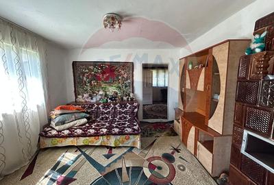 Casa bunicilor, cu gradina, Lera, Buzau! - 5