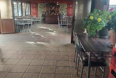 RESTAURANT DE VÂNZARE-COM. OBREJA\SAT IAZ\CARAȘ SEVERIN - 19