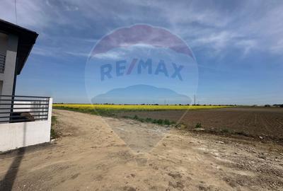 Teren 545,000mp Dragomiresti-Vale - 10