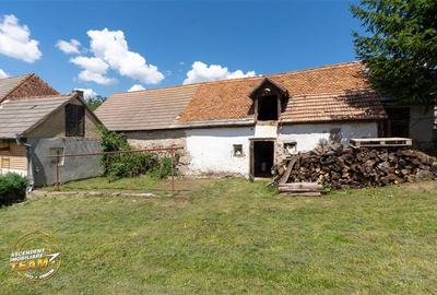 FILM!Doua case traditionale,pe domeniu cu peste 5.000mp teren,Bixad,Covasna - 23