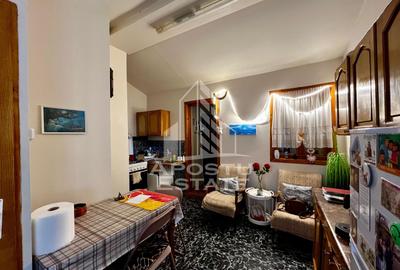 Apartament 3 camere, curte comuna, zona Iosefin, Timisoara - 15