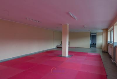 Spatiu comercial de 175mp, ideal pentru showroom, birouri sau depozitare - 5
