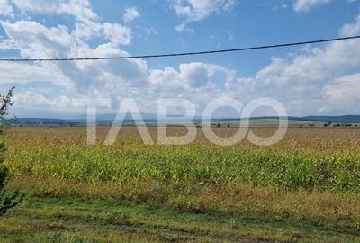 Comision 0%  Oportunitate investitie 28000 mp in Sura Mica Sibiu - 4