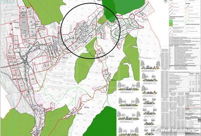 Teren intravilan, Front 31m,  Salicea - 4