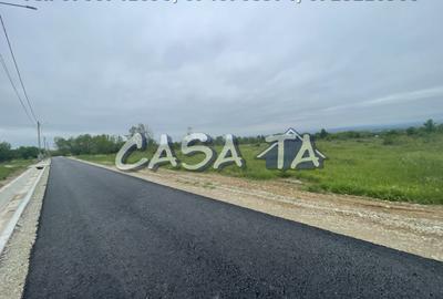 Teren Intravilan (4718 mp), Danesti - 1