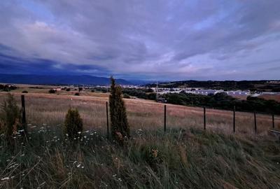 TEREN INTRAVILAN | 650 MP | CISNADIE - 1