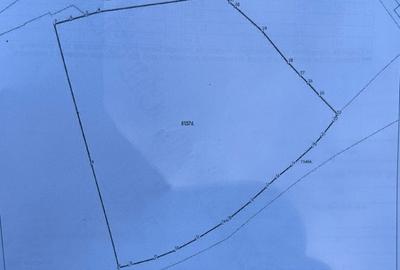 Teren Intravilan 5.653 mp| zona Cugir - 2