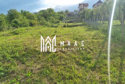 Teren intravilan de vânzare Daia Nouă | 1000 mp | Ideal pentru construcție - 2