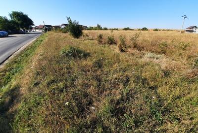 Teren intravilan 33.496 mp, Com. Bradu (fosta Com. Albota), Arges - 4