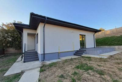 Casă parter, 3 camere, 818 mp teren, zona Valea Adanca - 2