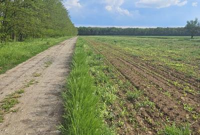 Teren intravilan - 4752 mp - 8 loturi de 594 mp - com Gruiu-Lipia - km 31 A3 - 4