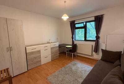 COPOU, UNIVERSITATEA CUZA, APARTAMENT CU 1 CAMERA DE INCHIRIAT - 3