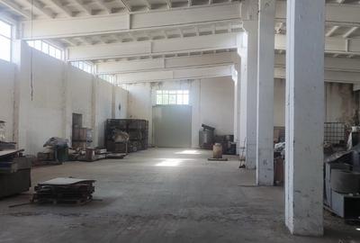 Hala renovata Orasul  Alexandria - 3