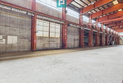 Hală industrială cu pod rulant și parcare betonată - 10