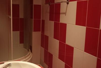 Casa mobilata si utilata pe strada linistita cu acces usor - 18