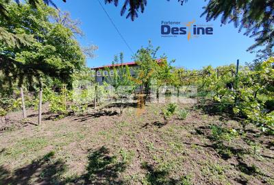 Casă individuală P+M, 164 mp utili + 1062 mp teren, COPOU - 2