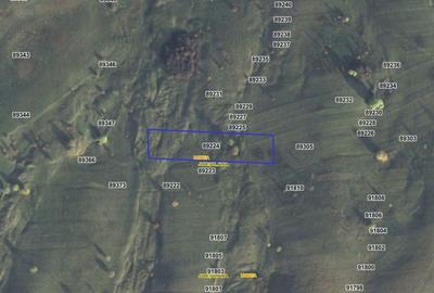 Teren de vanzare - 1