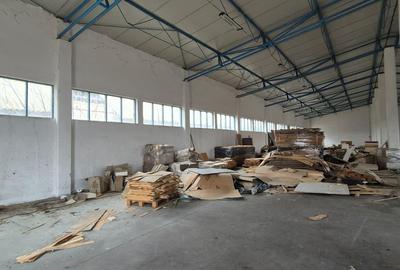 Hale industriale - 3
