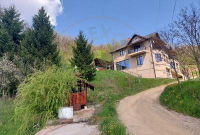 Casa imbratisata de padure + cabanuta de vara - Valea Ursului, Bascov - 1
