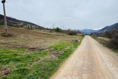 AV644 Teren intravilan, BERZASCA-DUNARE, 6042mp, posibilitate investitie turism - 2