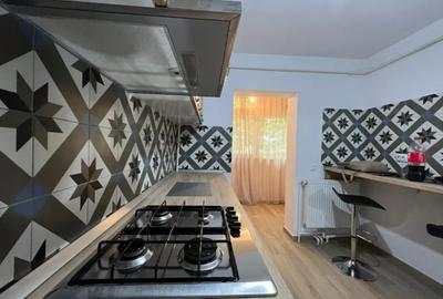 Apartament cu 1 camera in Tatarasi Sud-Doi Baieti - 3