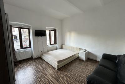 Apartament 1 camera Boul Rosu de inchiriat - 5
