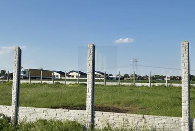 Teren Intravilan 497mp de Vanzare Padurisu *Calarasi* - 6