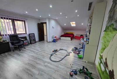 Timpuri Noi, 10 minute metrou, pe Cuza Voda, vila exclusivista P+1+M, lux, - 40