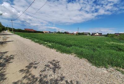 Teren intravilan 3177 mp, zona Serbanesti - 2