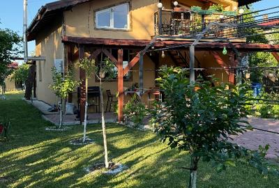 Vand casa cu teren in sat Prunaru,com Bujoreni,Jud Teleorman - 2