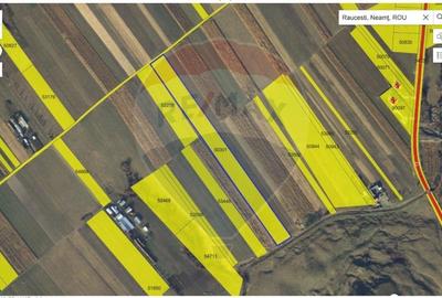 Teren de vanzare 20,000 mp. in com. Raucesti,  Targu Neamt - 1