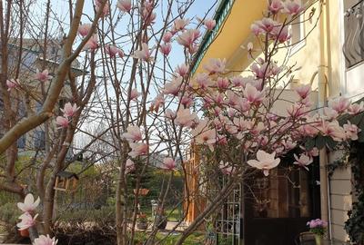 COSMOPOLIS - Vila 4 camere - 16