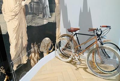 Vila superba complet restaurata pretabila pentru Ambasada sau Sediu Companie - 11