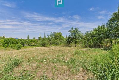 Case și teren – Comuna Călacea - 18