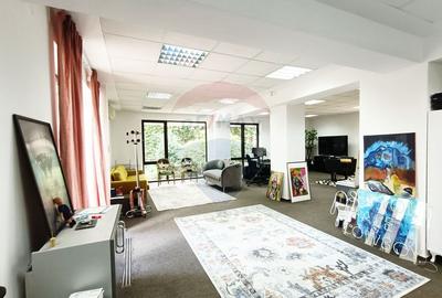 Vanzare Spatiu Comercial / Birou, Str. Popa Tatu -Cismigiu, Investitie - 1