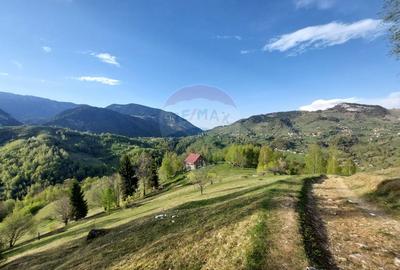 Teren 1,798mp Pestera /  acces din Strada Principala - 1
